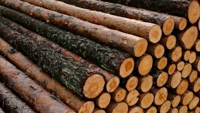 WOOD LOGS