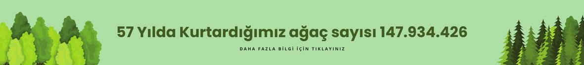 Kurtardığımız ağaçlar